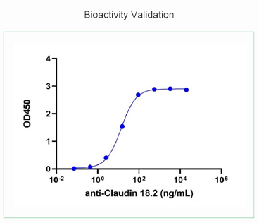 Bioactivity Validation