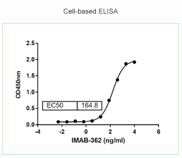 Cell-based ELISA