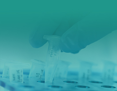 PCR Reagents