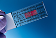 Novel cell-free system