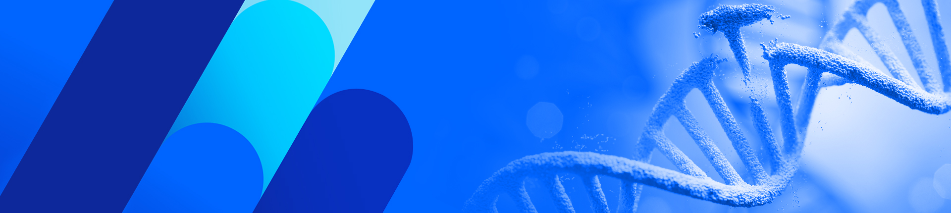 Base Editing Guide RNA Synthesis