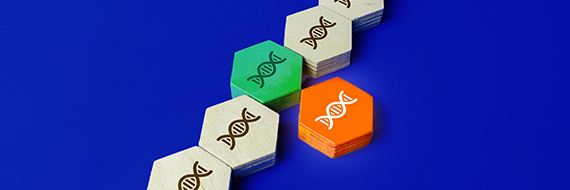 Pioneering Ultra-Long RNA for Next-Generation Gene Editing