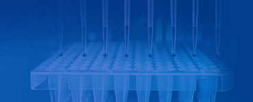 Plasmid Services