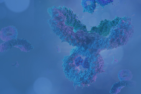 Epitope Tag Antibodies