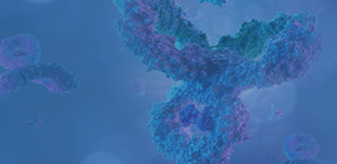 Primary and Secondary Antibodies