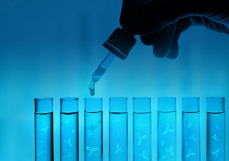 Purification Resins