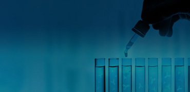 Purification Resins