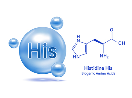 His-Tag Protein Purification
