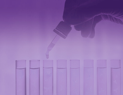 Chromatography Resins