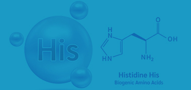 His-Tag Protein Purification