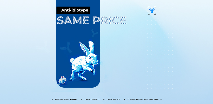 Mouse Price,Rabbit Performance!