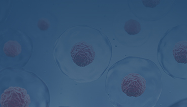 Cell Isolation and Activation