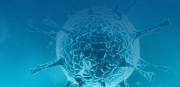 COVID-19 Related Cell Lines
