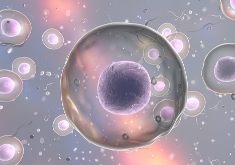 Growth factor