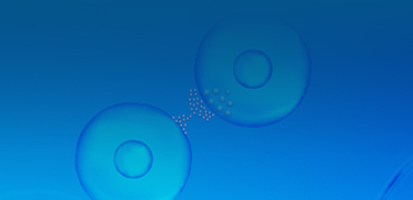 Cytokines