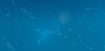 COVID Target Stable Cell Lines