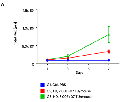  Quantification of Fluc expression at  24, 72, and 168 hours  post-injection.