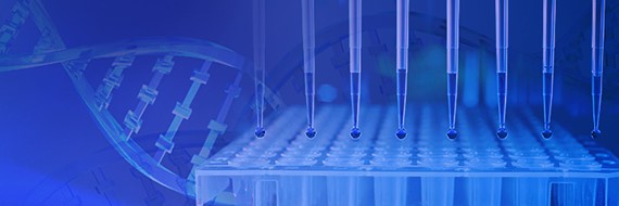 Revolutionizing Research: Cutting-edge DNA Cloning Technologies and Approaches
