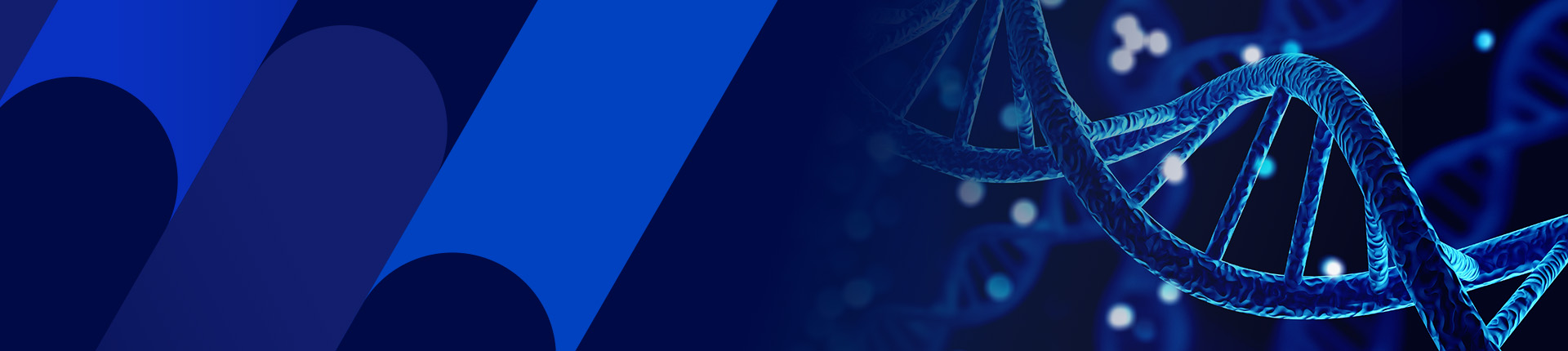GenXceed Cell-free mRNA Template