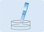 paper-based point-of-care diagnostic test