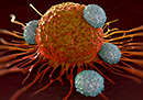 Sleep More to Fight Off Infection