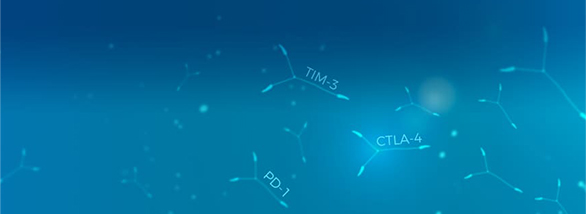 Target Proteins