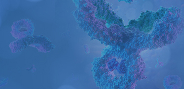 Catalog Antibodies