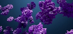 Target Proteins