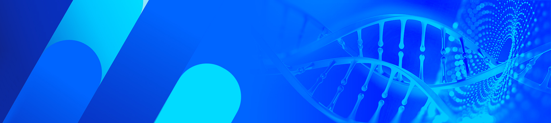 GenWand™ Single-Stranded DNA
