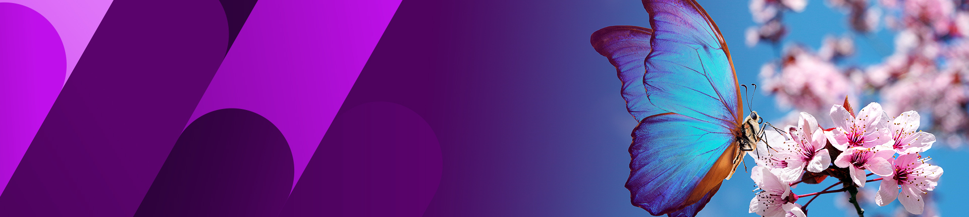 BacuVance cell Expression System Banner