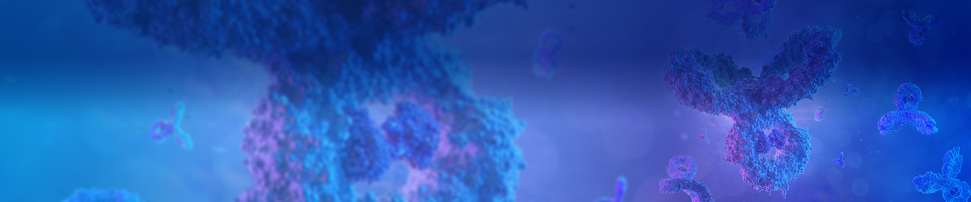 Recombinant Antibody Production