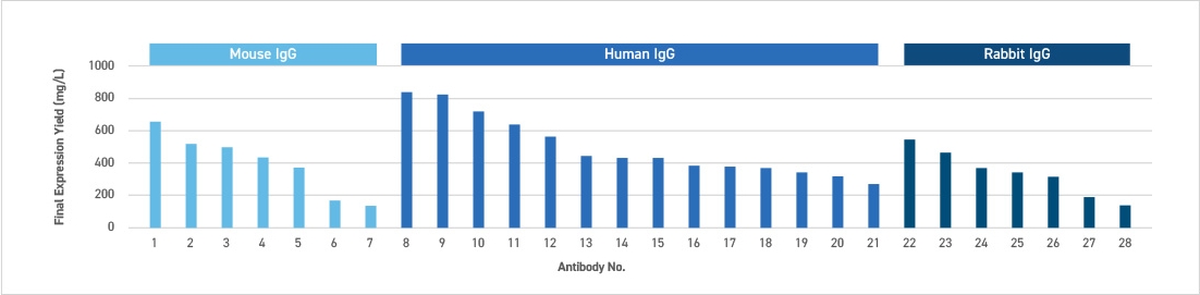 Final Expression Yield