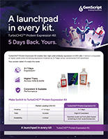 TurboCHO™ Protein Expression Kit Flyer