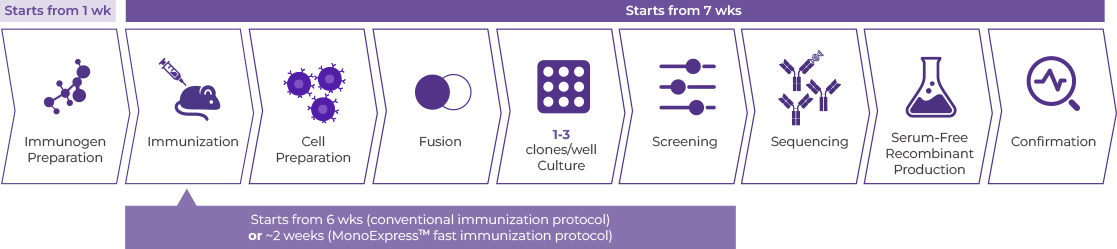 Standard Mouse mAb Development Package 