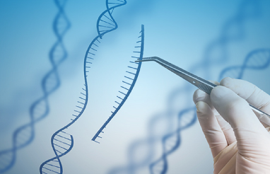 Non-viral Cell Therapy Manufacturing