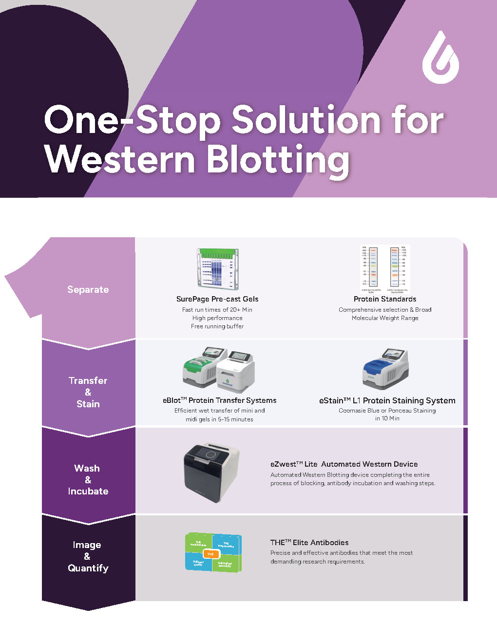 One-stop Western Blot Solution Flyer
