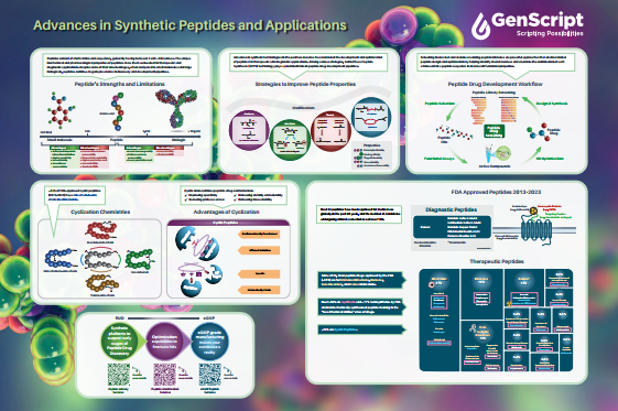 Advances in Synthetic Peptides and Applications