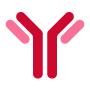 Monoclonal antibody