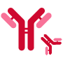 Non-Blocking Design