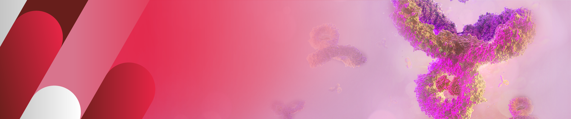 Products for ADC Pharmacokinetic Study