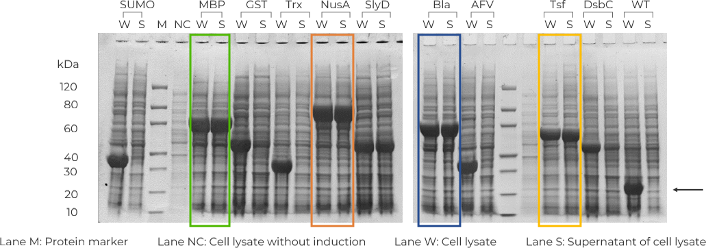 Various Tag Screening method