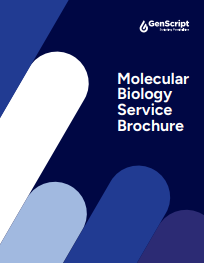 Gene Synthesis Handbook