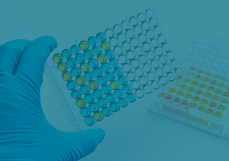 BSA ELISA Kit