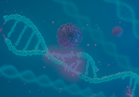 Cas9 ELISA Kit