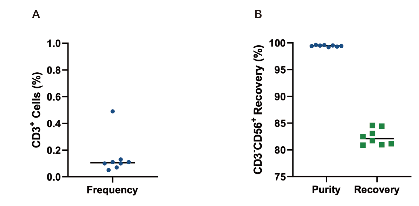 Application of αβ T Cell Depletion in CAR-NK cell therapy production