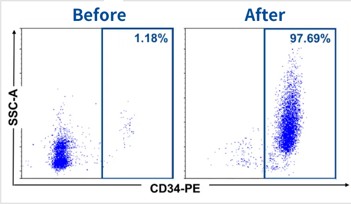 CD34+ cells were enriched from the starting material using CytoSinct CD34 Nanobeads or the current standard method followed by flow cytometry analysis. High purity and recovery of CD34+ cells were achieved after isolation and highly comparable as using the current standard method. 
