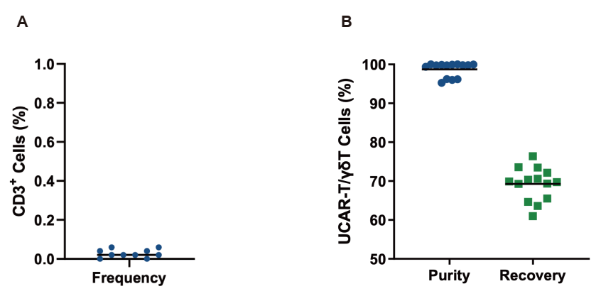 Application of αβ T Cell Depletion in allogeneic CAR-T and  γδ T cell therapy production