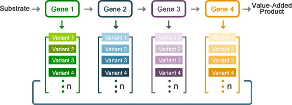 High-Throughput DNA Library Assembly Service Workflow