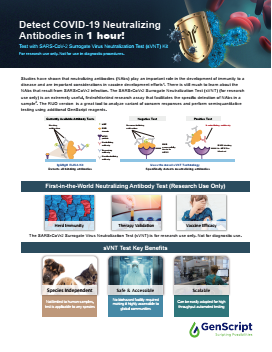 Anti-VHH Antibodies Flyer