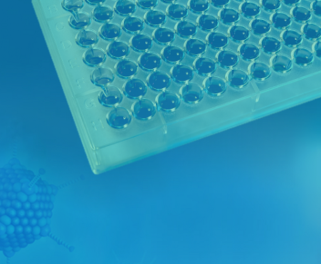 dsRNA ELISA Kit